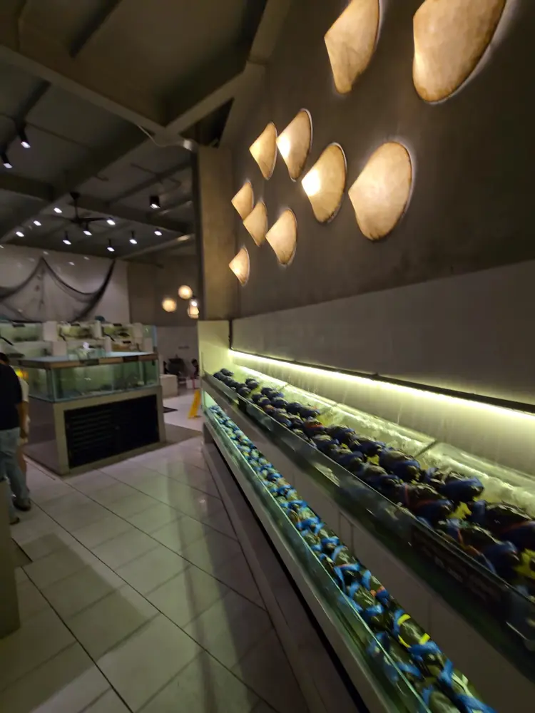 Layar Seafood KH Abdul Wahab Siamin 5