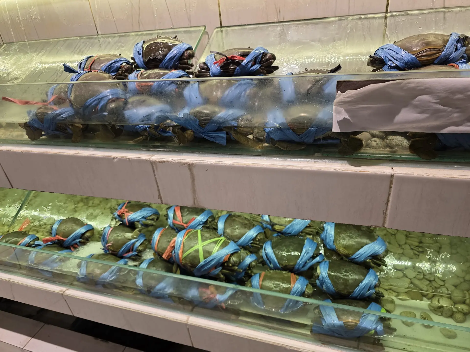 Bahan makanannya mantap, servisnya ampas! Layar Seafood Surabaya, worth it nggak sih buat di-gas? 2