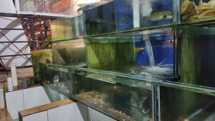 Chef's Kitchen Live Seafood 3