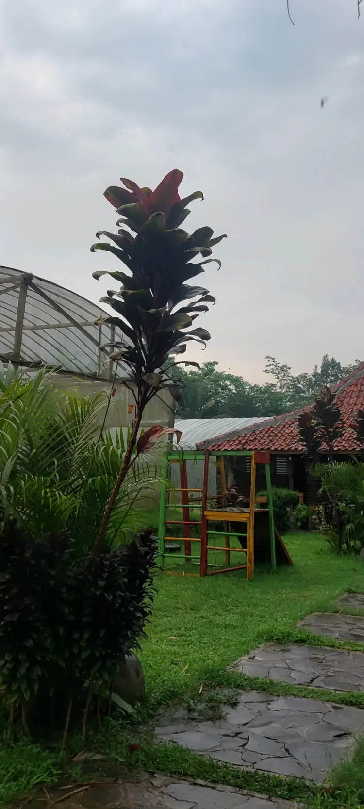 Agrotera Rest @rea Inovatif 3