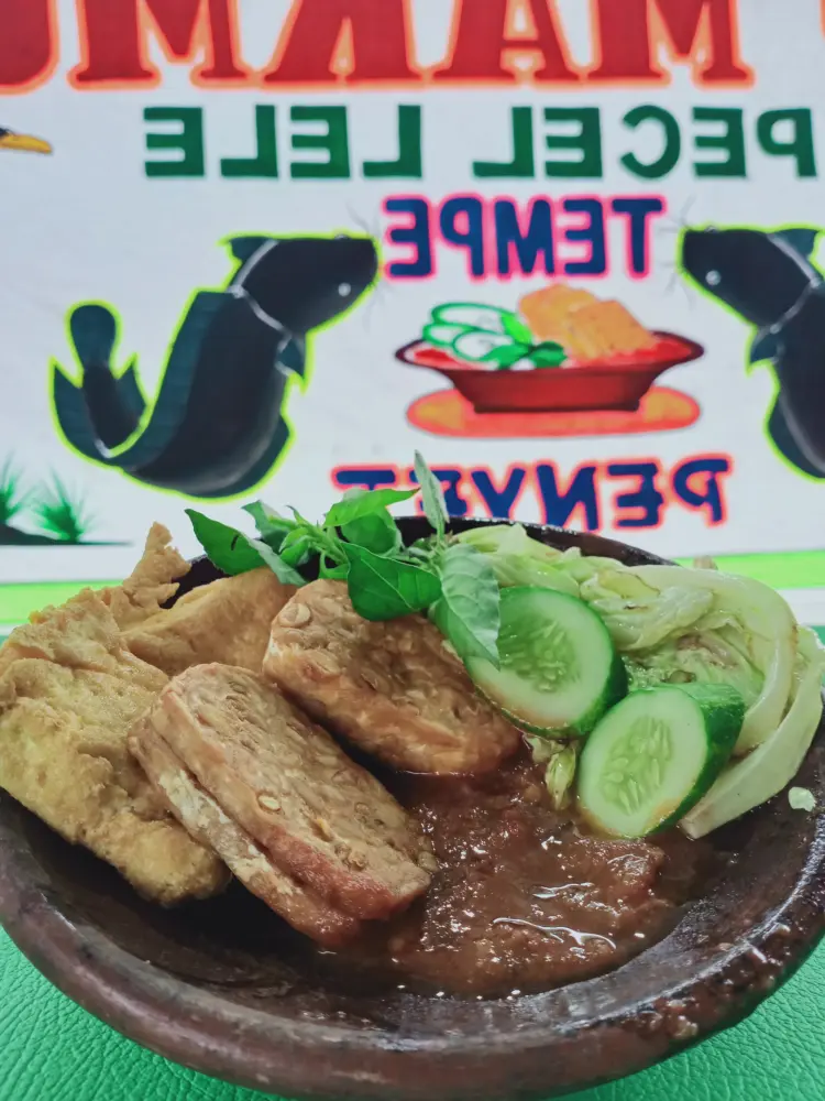 Pecel Lele Sido Makmur Cak Rizal 1