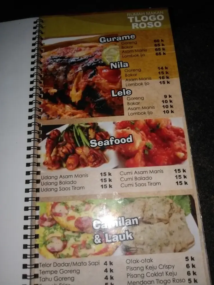 Rumah Makan Tlogo Roso 6