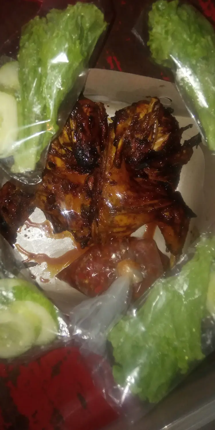 Ayam & Bebek 46 Solo 4