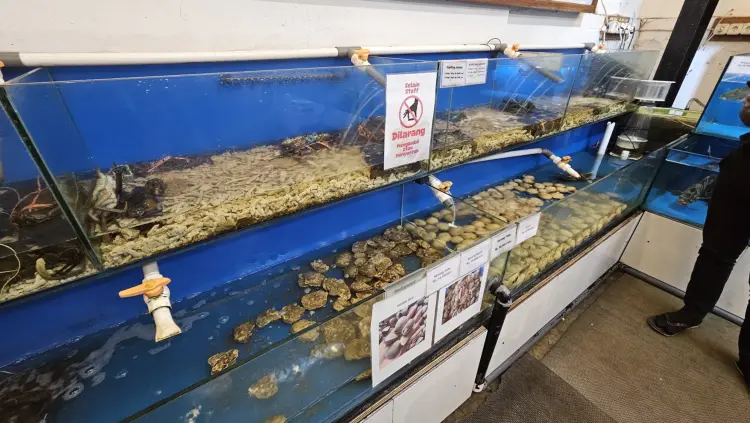 Golden Bay Live Seafood Restaurant Bandung 7