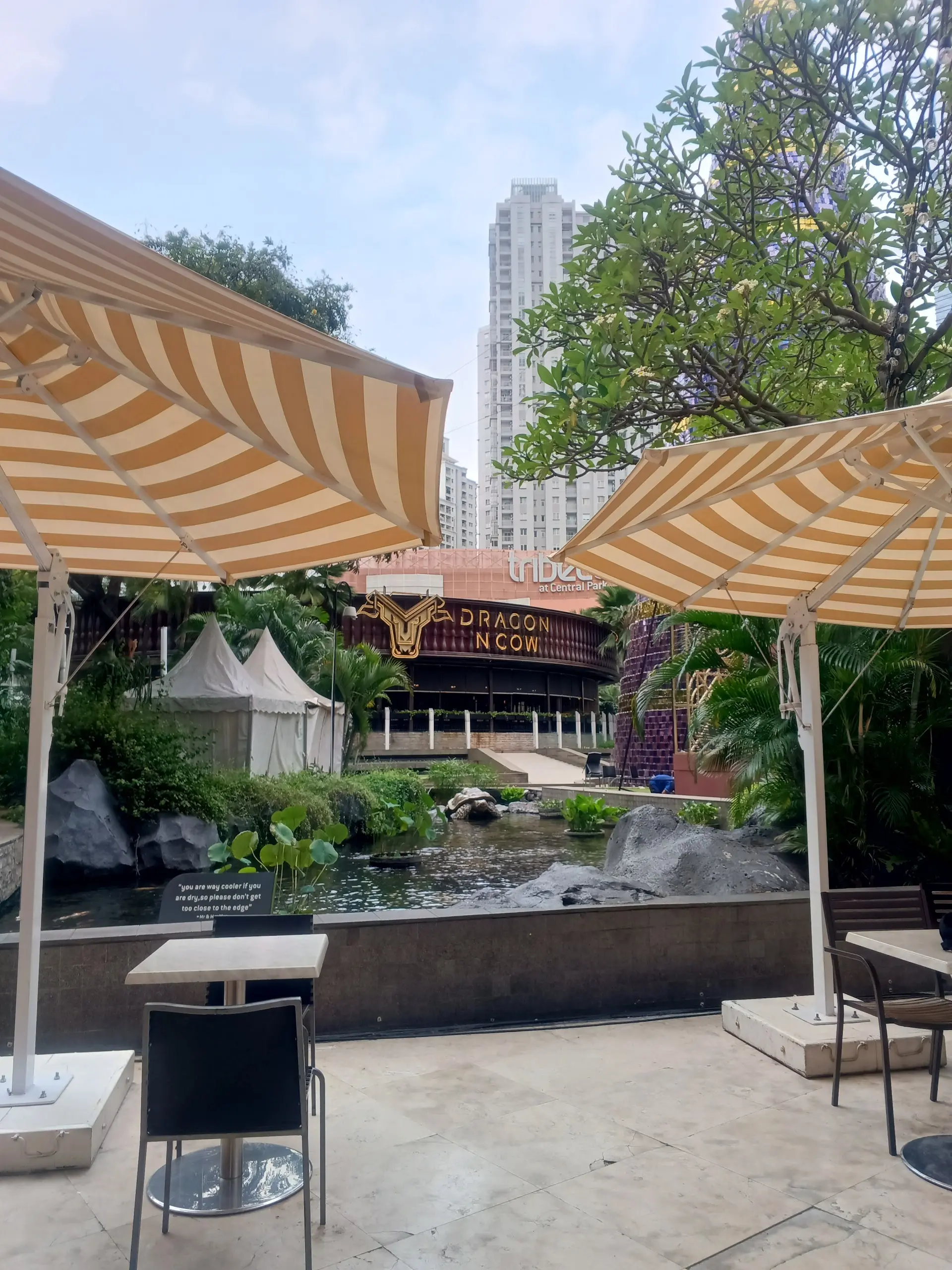 Live Band吵到失聪，但为了这口猪肋排我忍了！ 4