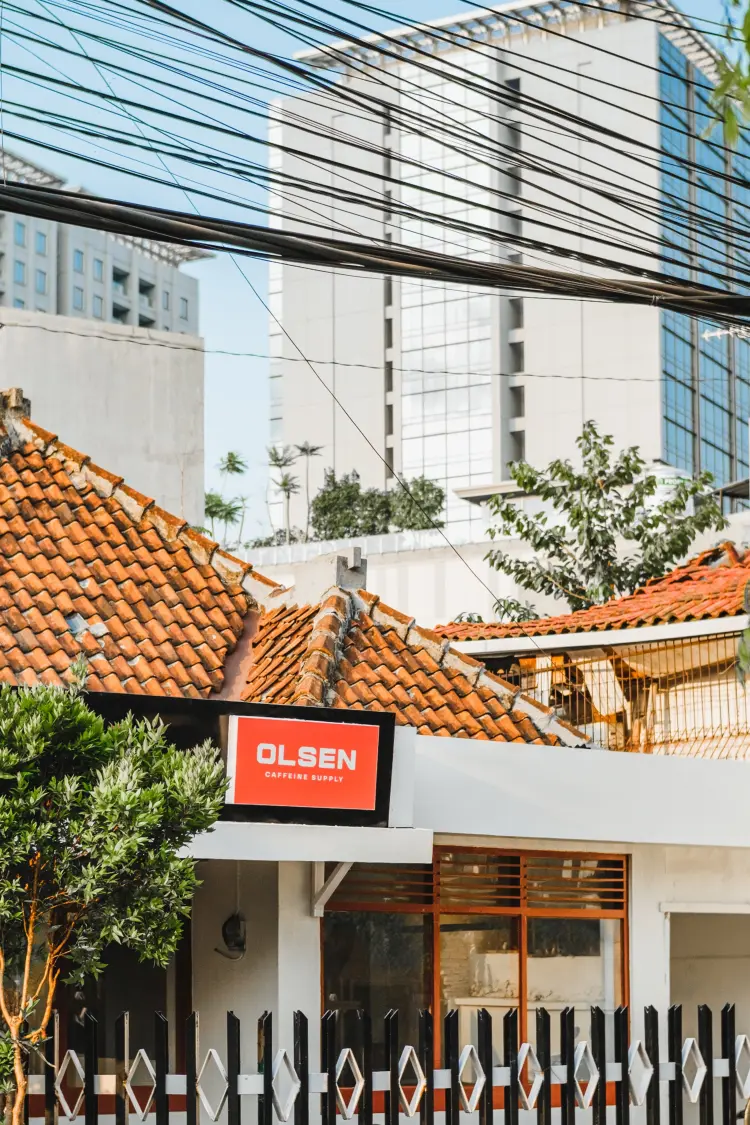 OLSEN CAFFEINE SUPPLY 1