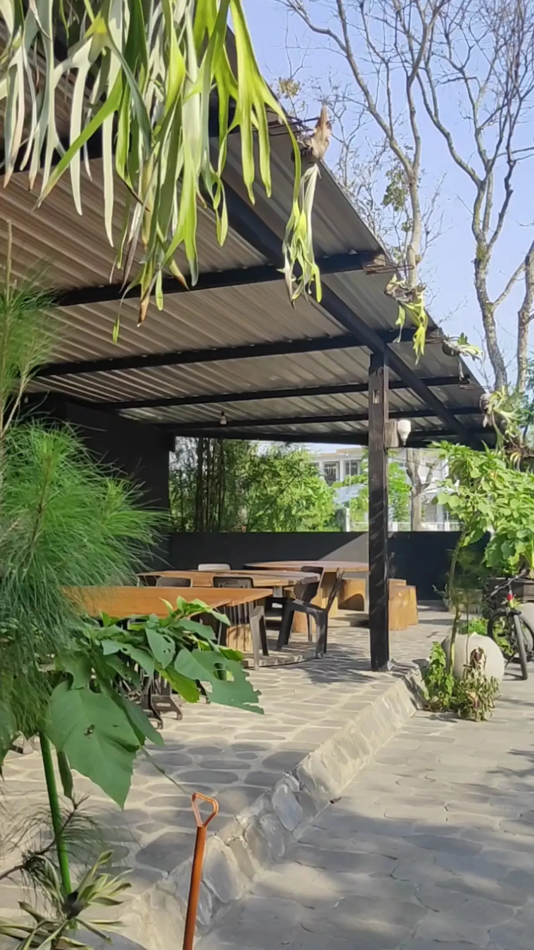 拖家带口来中爪哇的,这家“小森林”海鲜餐厅请直奔! 3