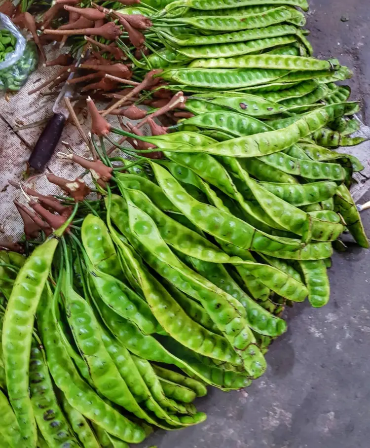 Bebek Bakar "Ali Sastro" 4