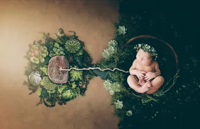 PIJAT LAKTASI SURABAYA HOMECARE SYARI SURABAYA 1