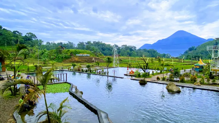 Wisata Sawah Sumber Gempong 1