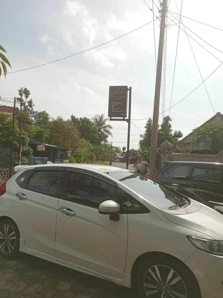 Meyra wedding gallery 1