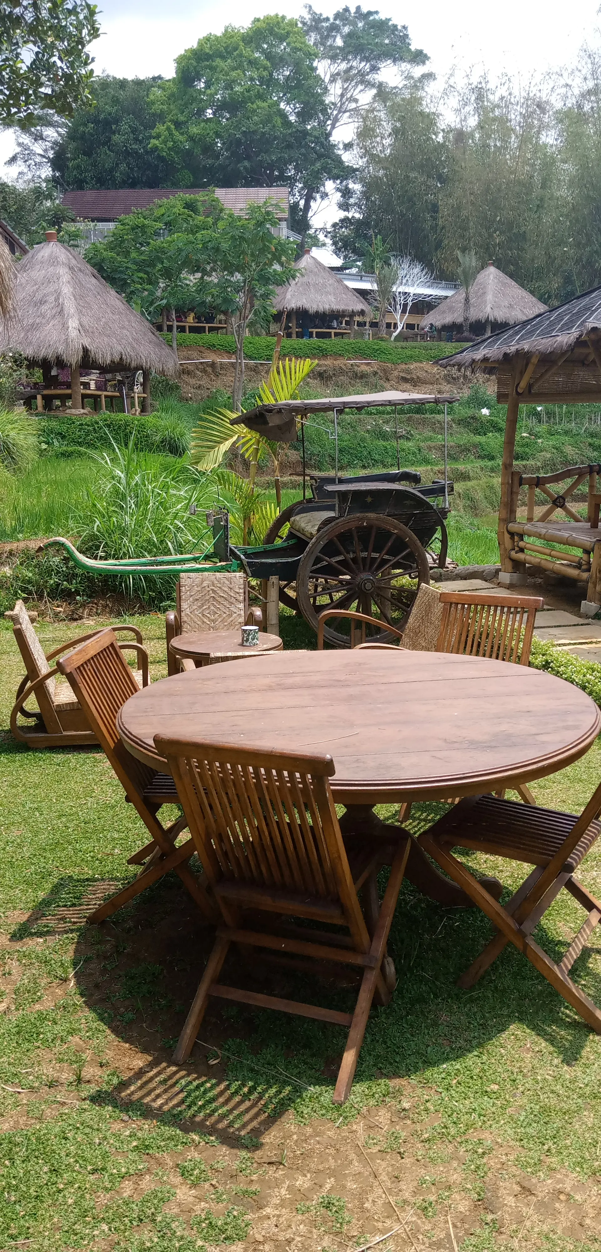 人均不到70K，我在中爪哇这家稻田餐厅躺平了一下午！ 4