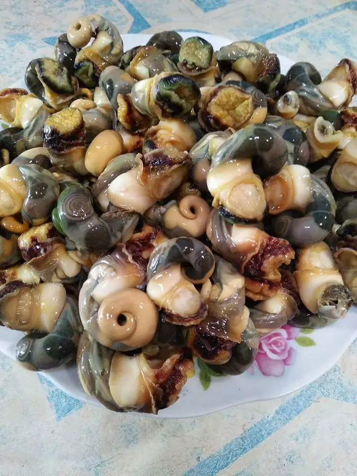 Warung Makan Bu Prapti / seafood 4