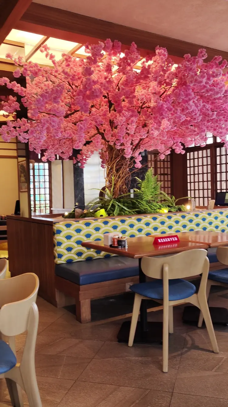 Kintaro Sushi Serpong 5