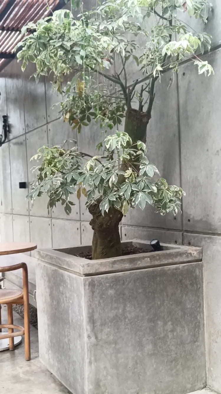 Otakiri Cafe & Resto 10