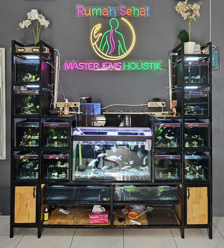 Kretek Medan Master Jems Holistik 1