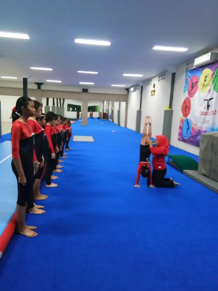 SK Gymnastics Club Stamford 1