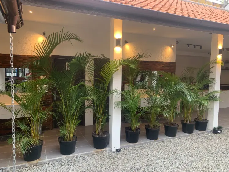 RM ABAH HARJA BANDUNG 1