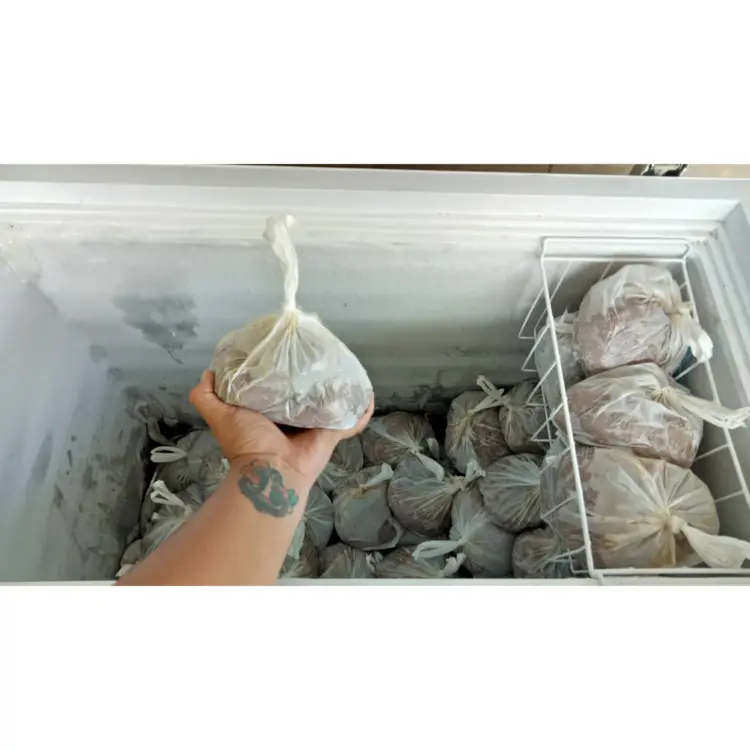 Luluh Sate Pak Mangku 2