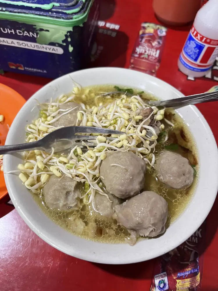Bakso balong Pak Ndut Metro 1