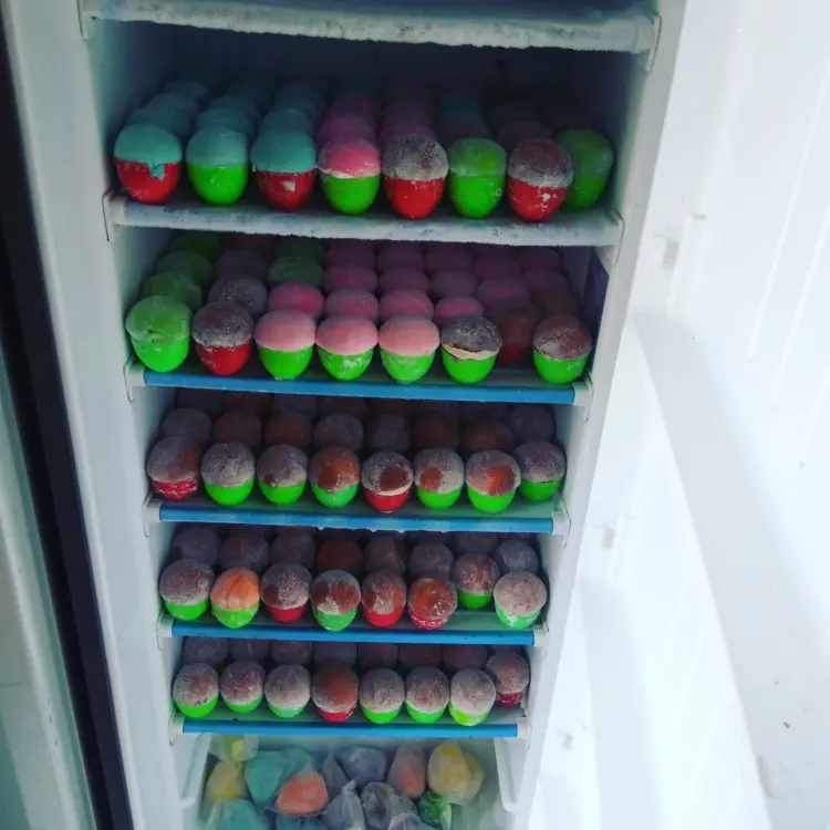 KK mochi ice cream 4