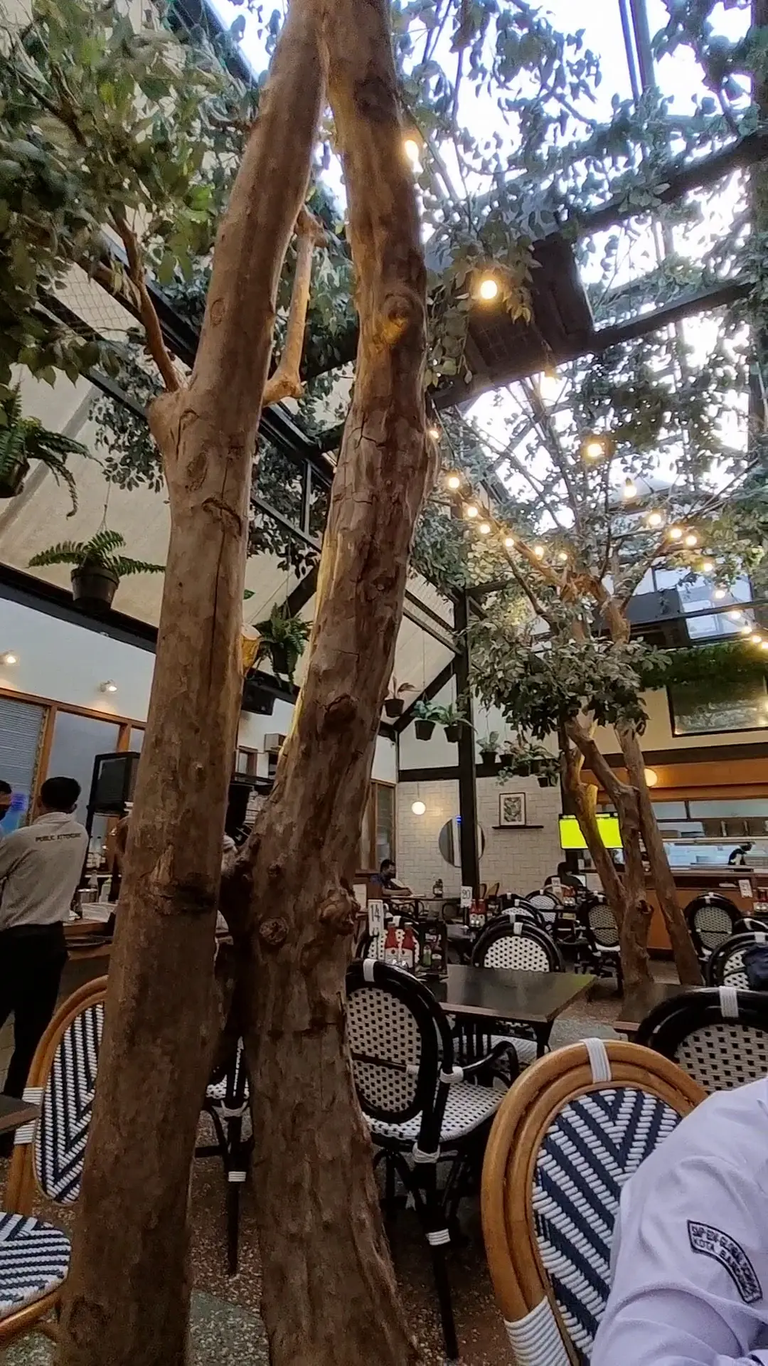 I'm at Bandung Justus Steakhouse, ordered a "Schrödinger's Steak" 2