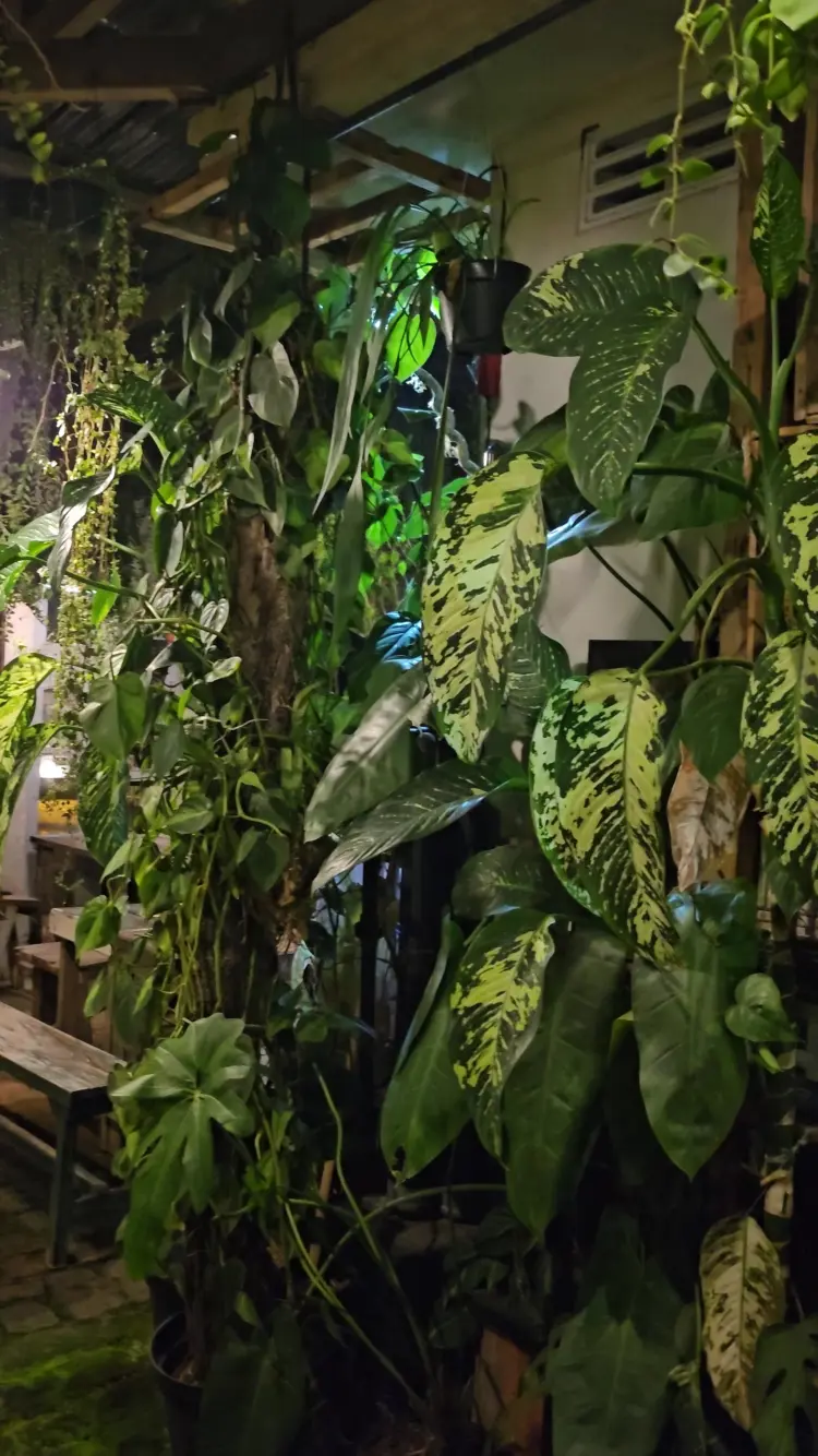 Retrorika - coffee bar & resto 5