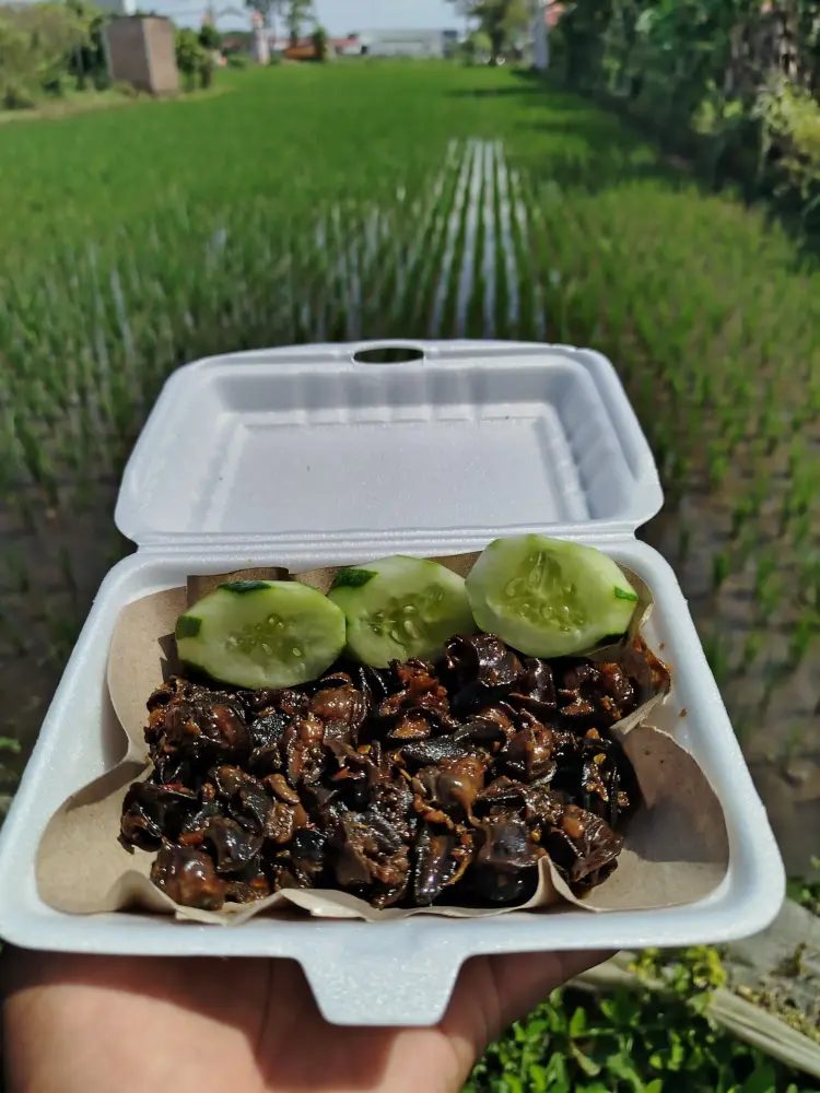 RICA BEKICOT TASIKMADU 1