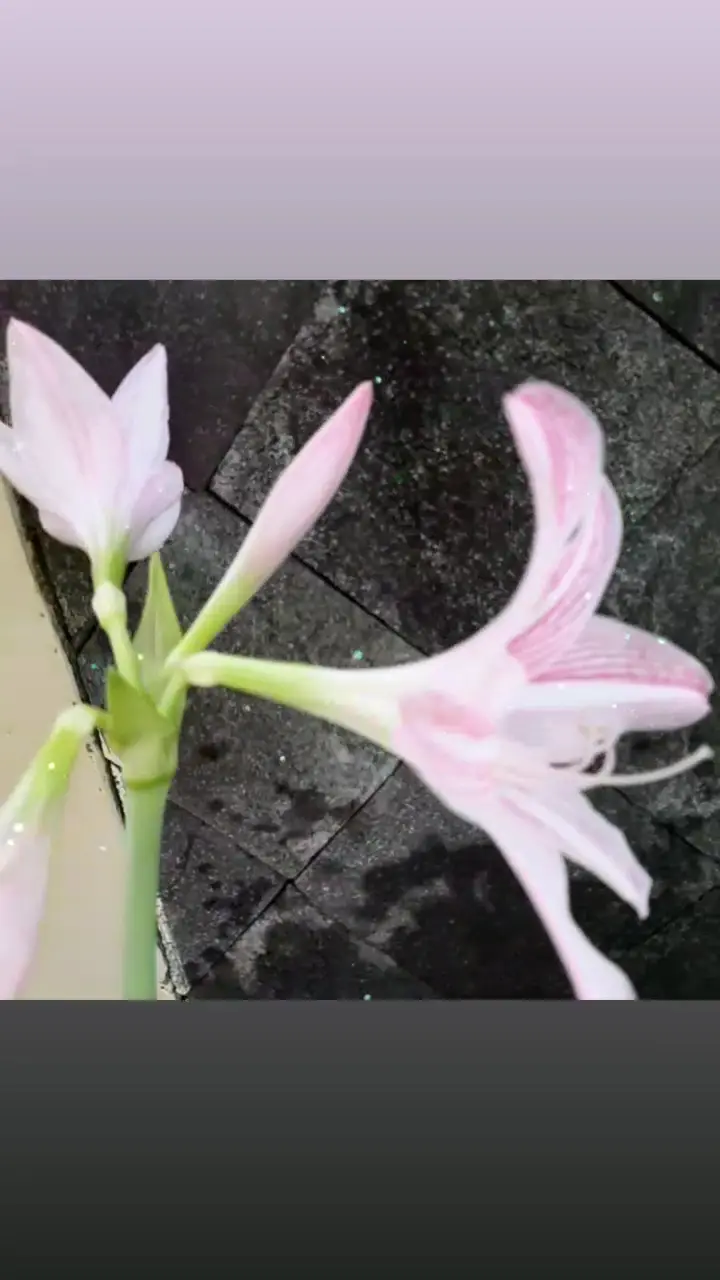 Rumah Cantik Marwah Batulicin 1