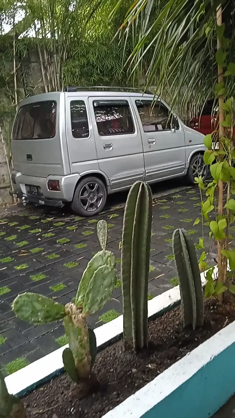 TROPICOLLO cafe & eatery 6