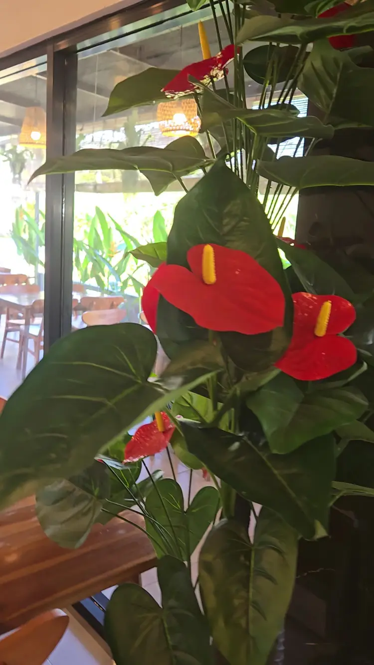 WARUNG KUBU SEAFOOD 4