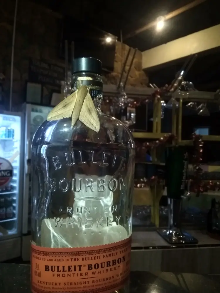 Casa Di Manurung Bar & Restaurant 3