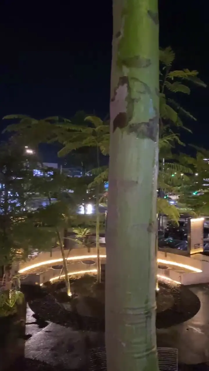 Kopi Nako Kota Baru Parahyangan 6