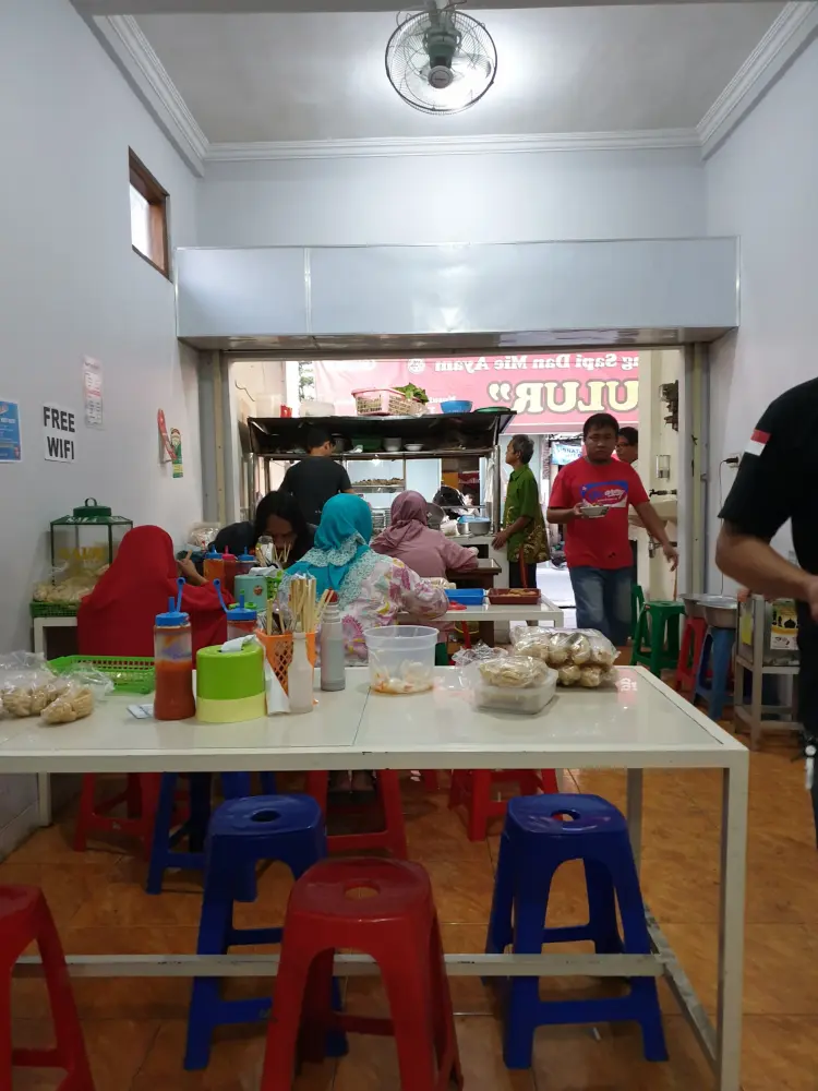 Cow Meatball & Chicken Noodle SULUR 4