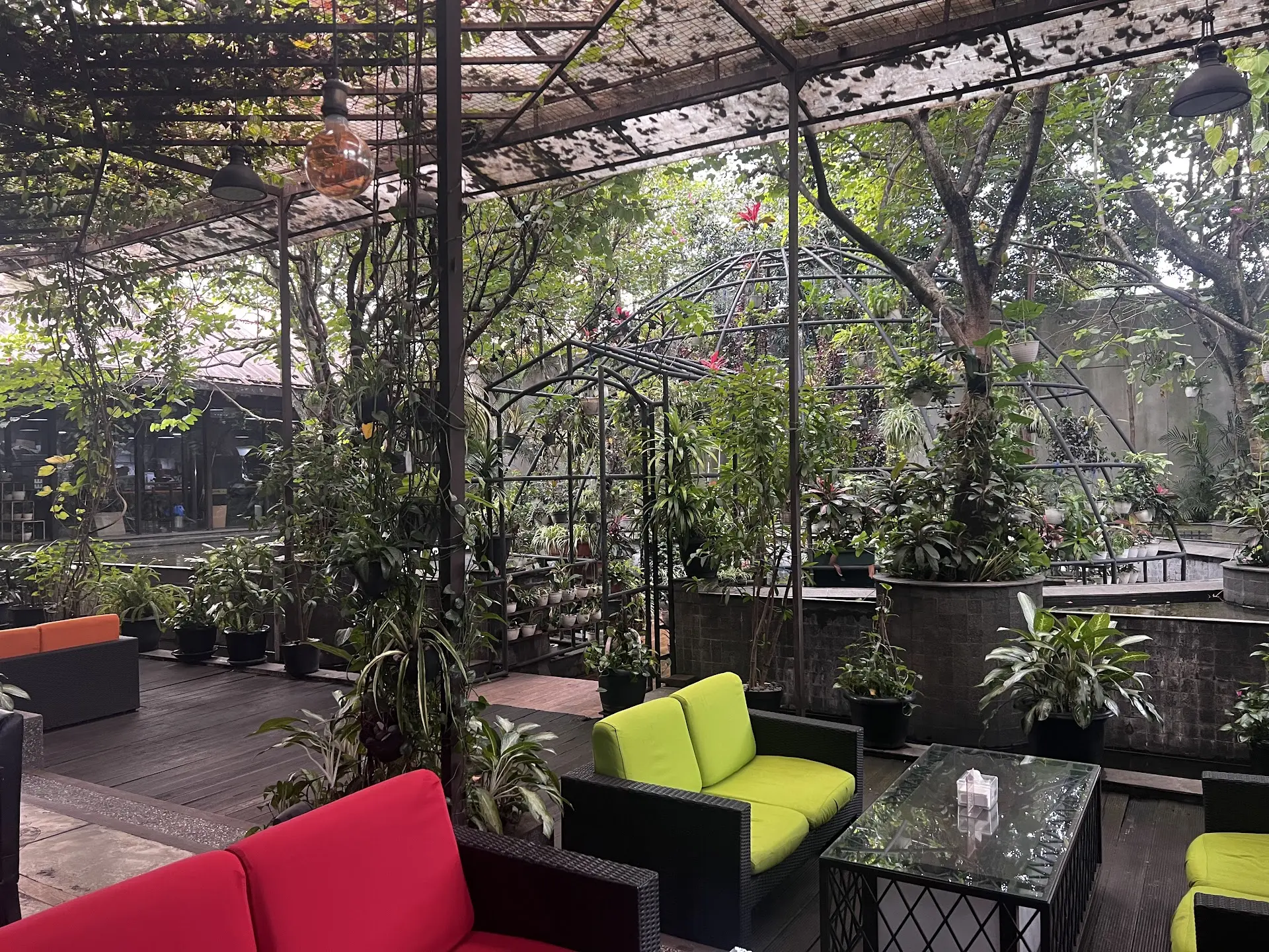 My 'Secret Garden' in Bandung, almost carried away by mosquitoes... 2