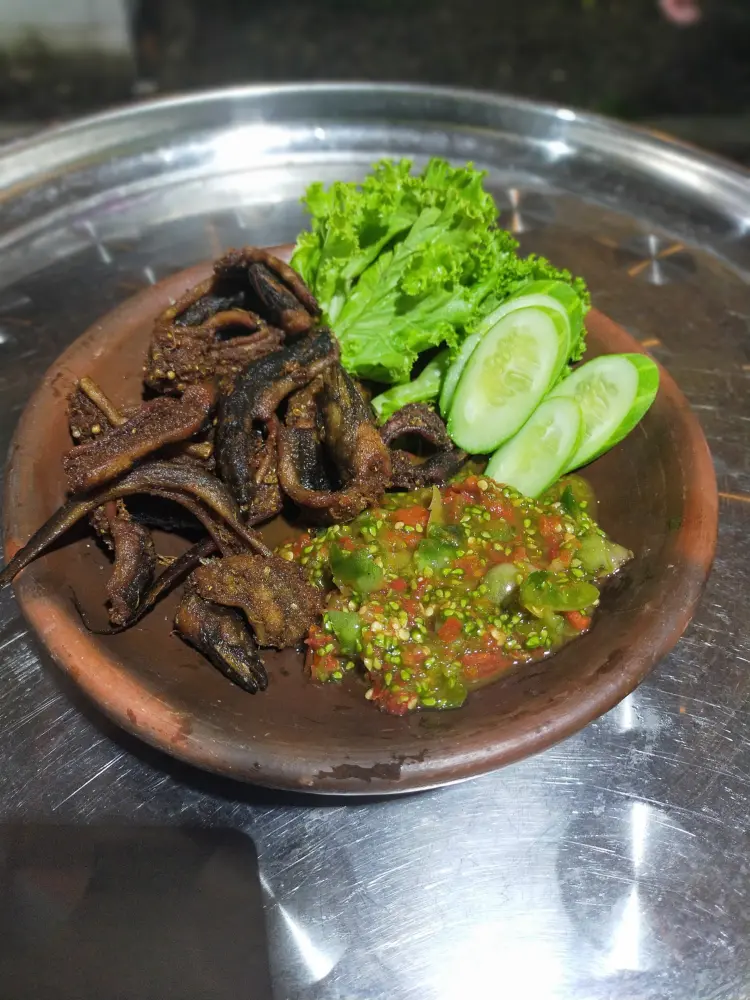 SAUNG RAJA MENES (PANDEGLANG) 1