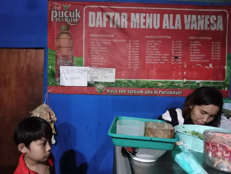 Mie Ayam Bakso & Aneka Penyetan Ala Vanesa 8