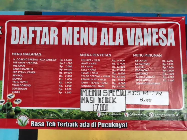 Mie Ayam Bakso & Aneka Penyetan Ala Vanesa 9