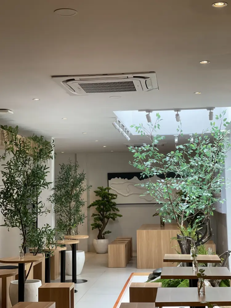 Calling All Matcha Lovers! This Medan spot is delicious, but has an attitude.