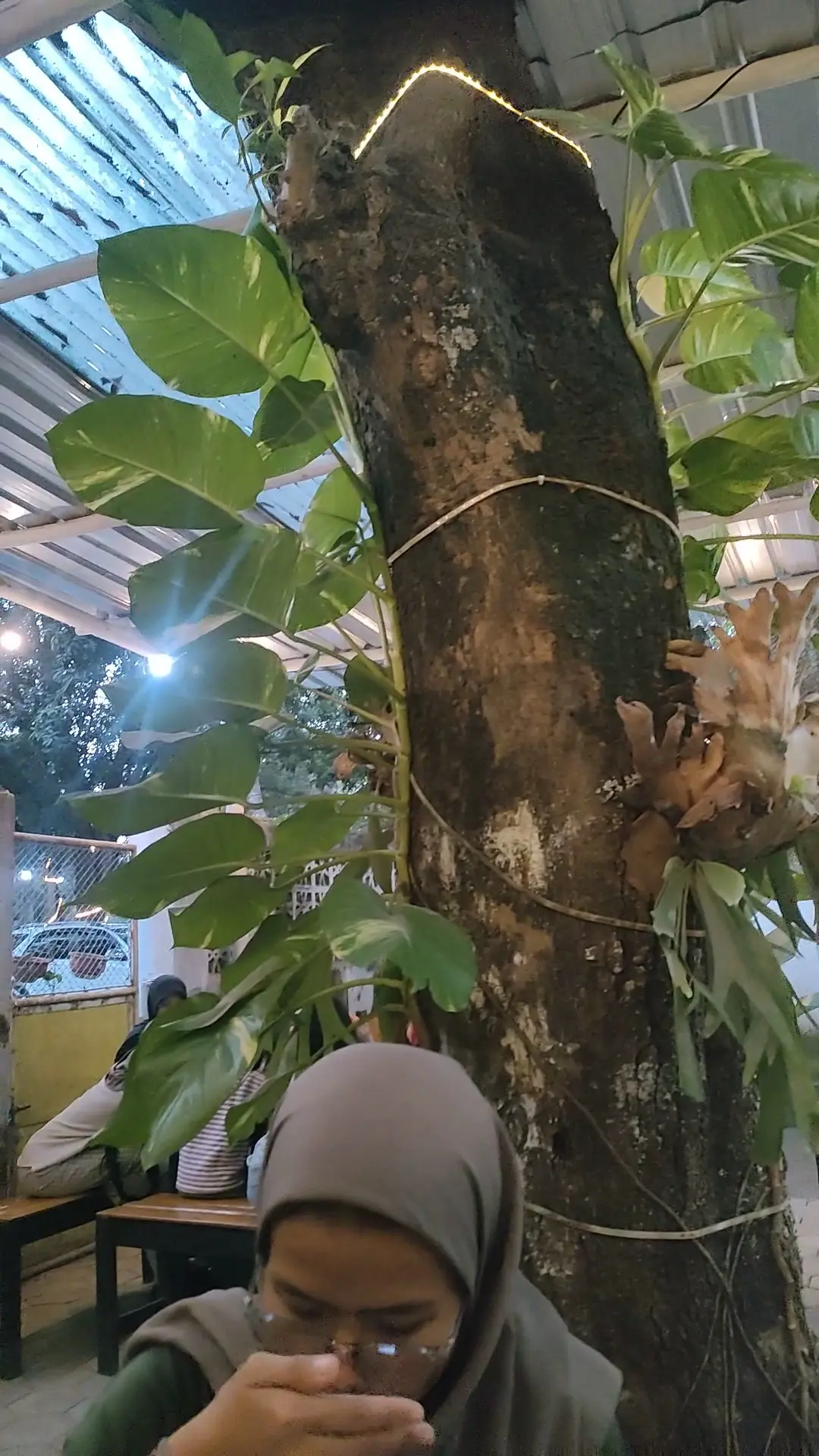 人均20块吃到撑，但这家中爪哇网红西餐厅的槽点我必须说！ 7