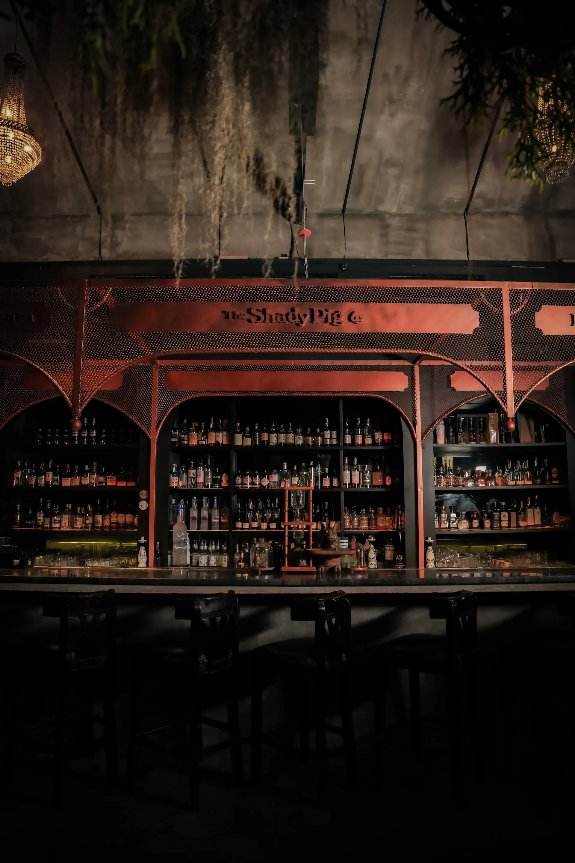 The drinks are amazing, but ladies, think twice before going to The Shady Pig… 4