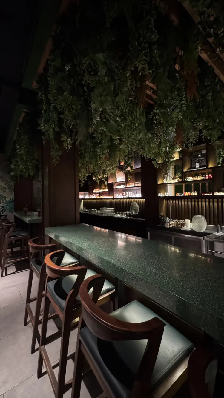 Mbience Garden Bistro 8