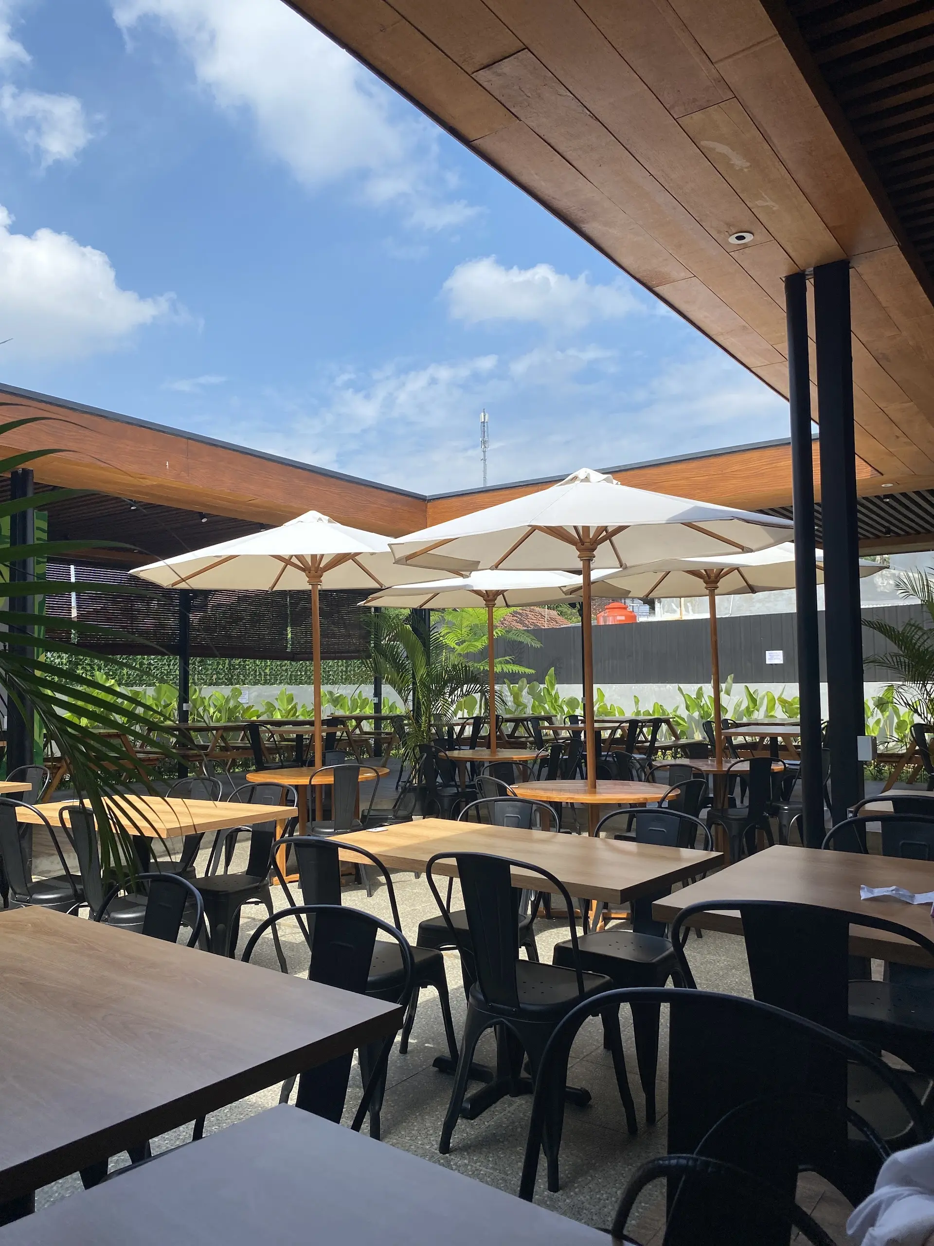 带娃党/洁癖党请进!三宝垄这家面馆干净到发光,但有几个槽点不吐不快 1