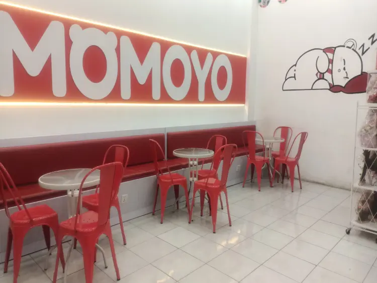 Momoyo Teluk Betung 6