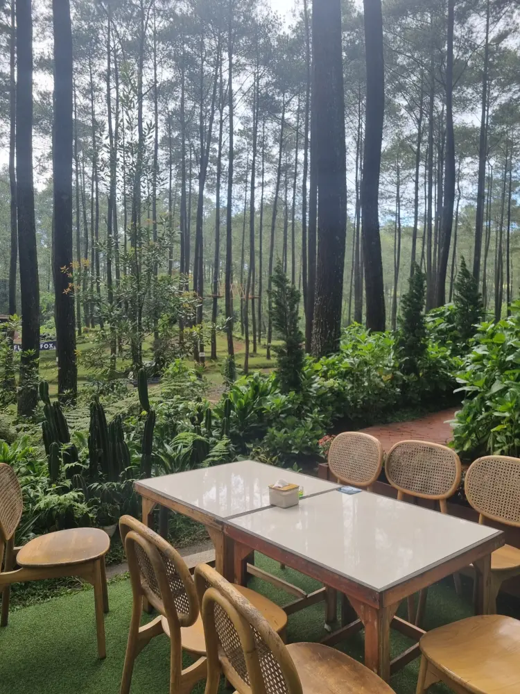 Lapinea Cafe & Resto 10