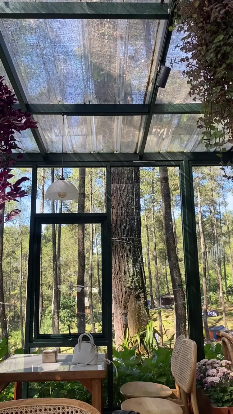 Lapinea Cafe & Resto 4