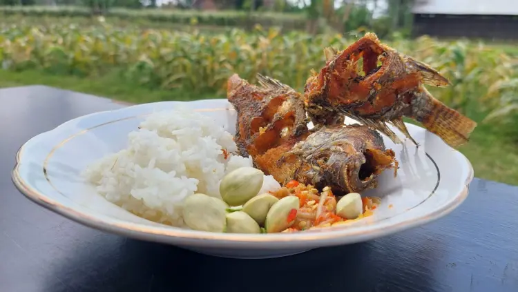 WARUNG PAK UNTUNG SANAN REJO 9