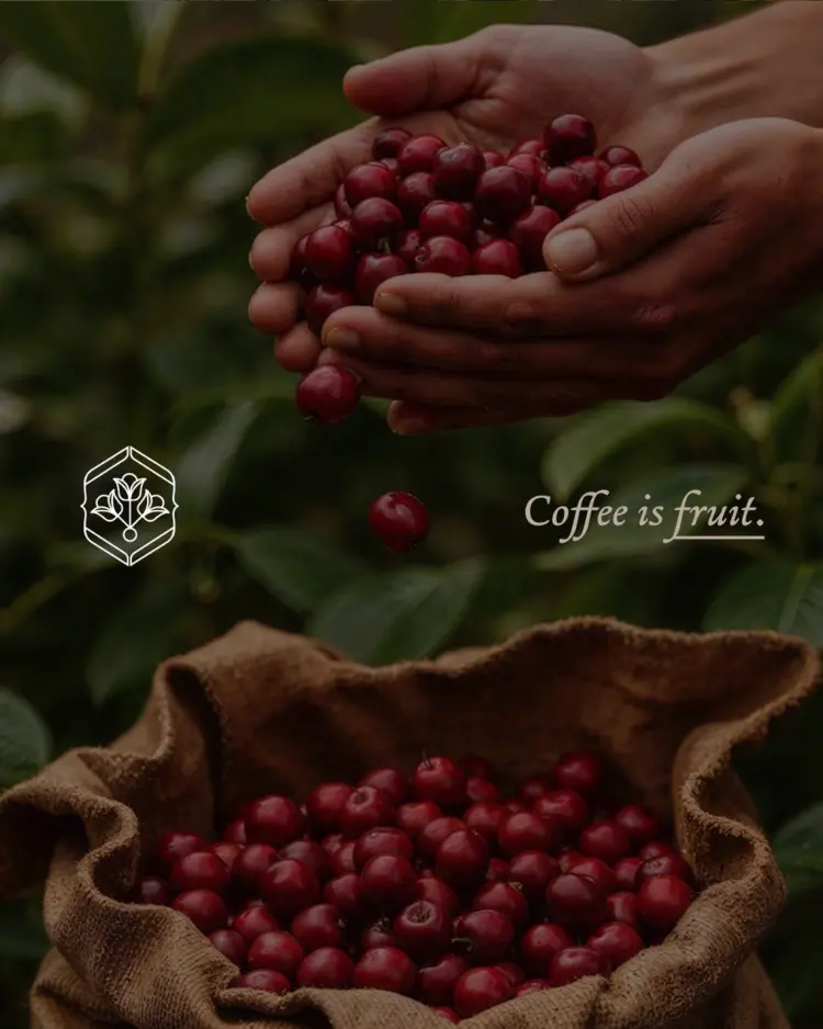 Goede Coffee & Eatery Pakuwon City Mall 3